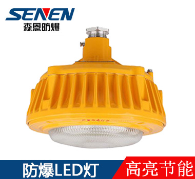 BSX86-Q防爆LED平臺(tái)燈 BSX86-Q防爆LED平臺(tái)燈