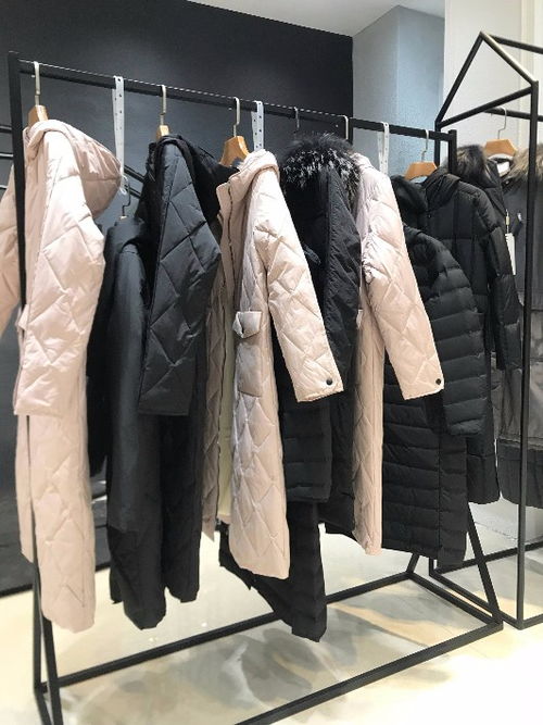 探尋杭州品牌女裝魅力 MG品牌折扣貨源與批發全攻略